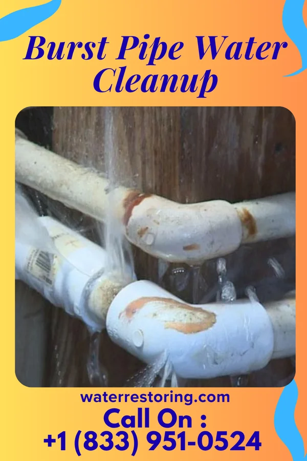 Burst Pipe Water Cleanup in Gilbert Creek, WV