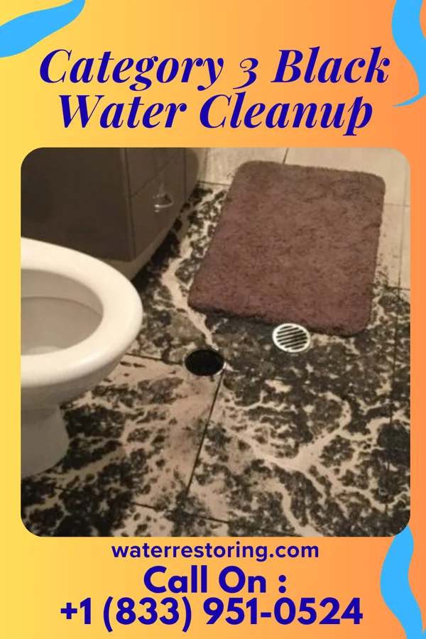 Category 3 Black Water Cleanup in Gilbert Creek, WV