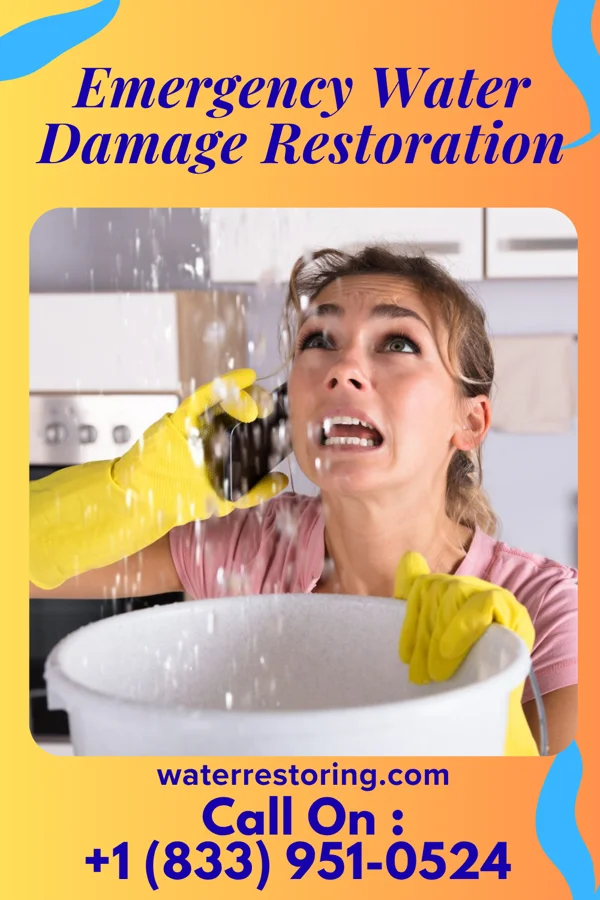 Emergency Water Damage Restoration in Gilbert Creek, WV