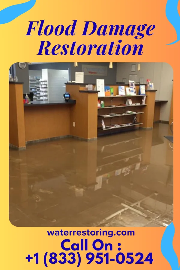 Flood Damage Restoration in Gilbert Creek, WV