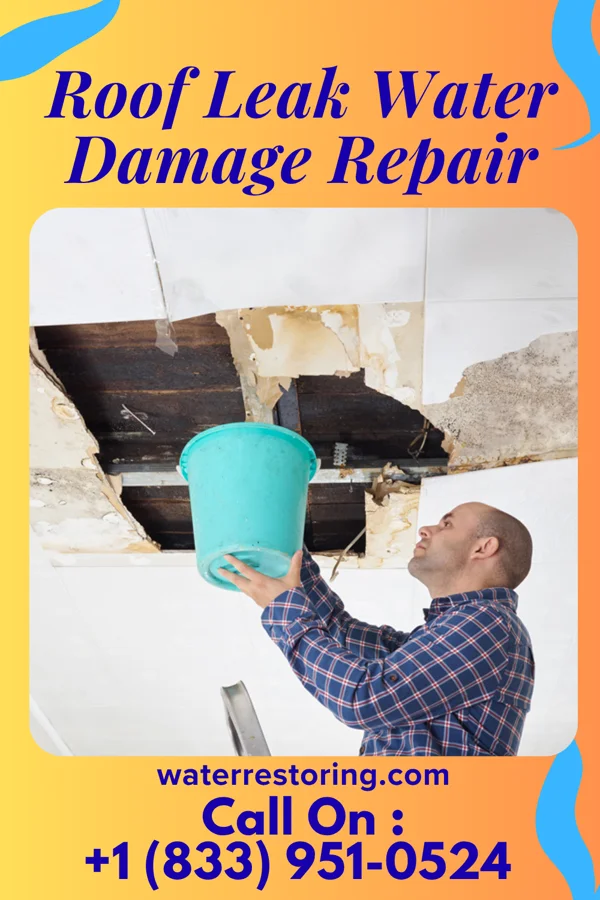 Roof Leak Water Damage Repair in Gilbert Creek, WV