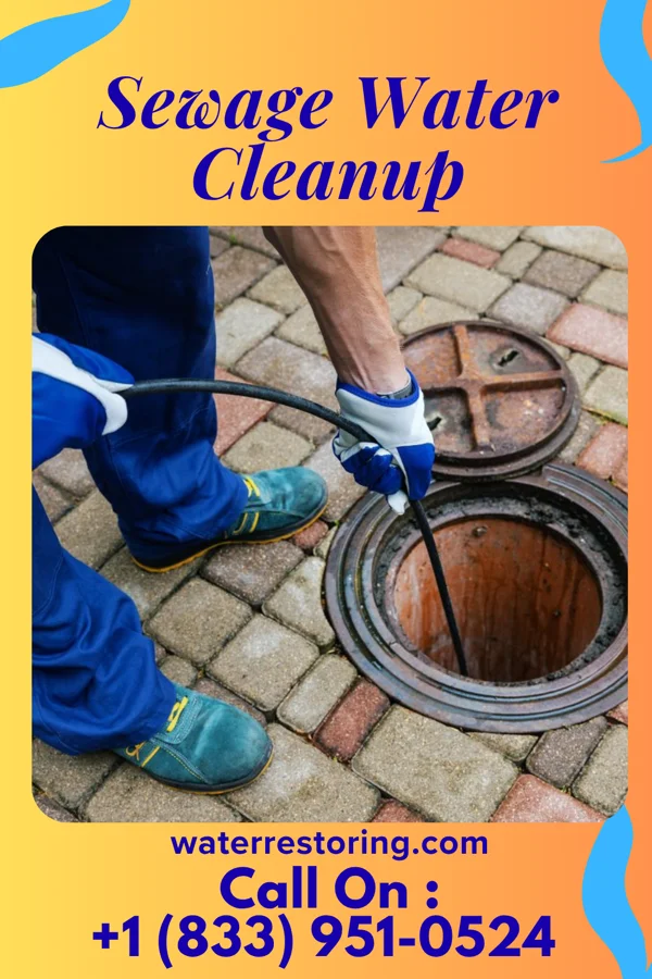 Sewage Water Cleanup in Gilbert Creek, WV